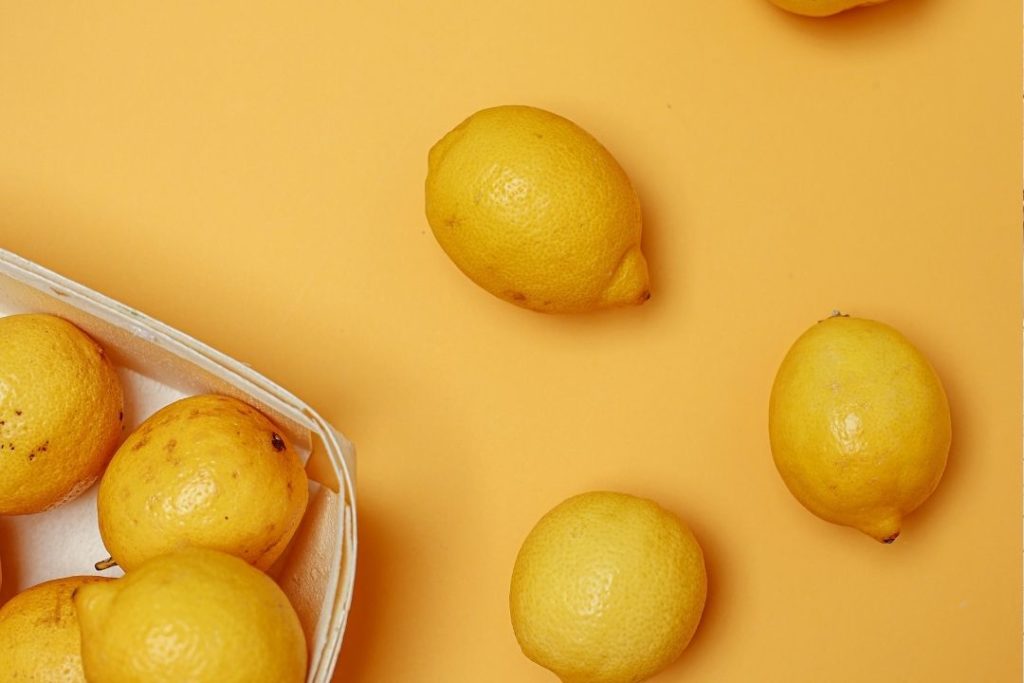 Lemons help in how to keep ants out of cat food